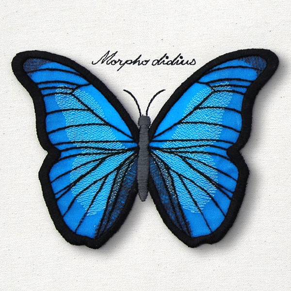 Winged Curiosities - Blue Morpho (3D Applique)