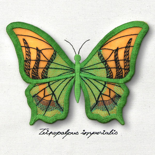 Winged Curiosities - Kaiser-i-Hind (3D Applique)