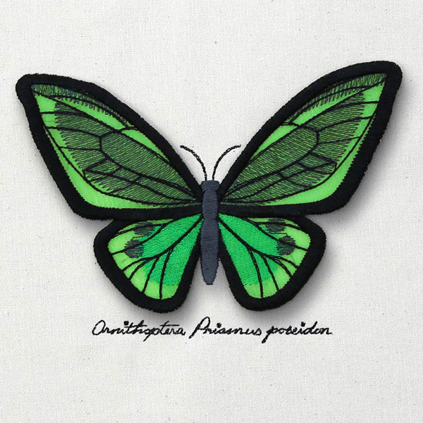 Winged Curiosities - Green Birdwing (3D Applique)