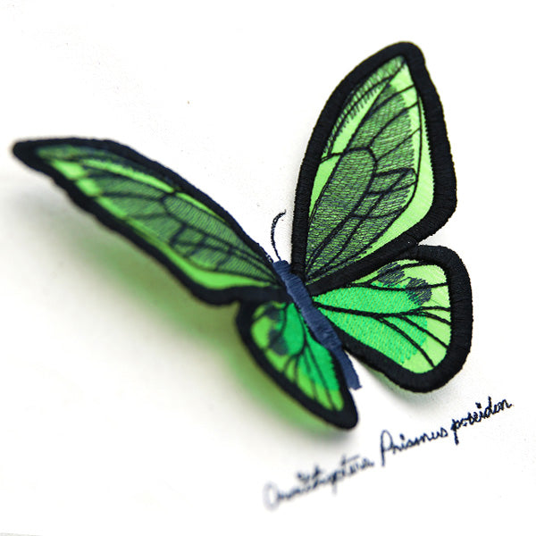 Winged Curiosities - Green Birdwing (3D Applique)