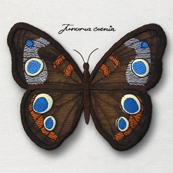 Winged Curiosities - Common Buckeye (3D Applique)