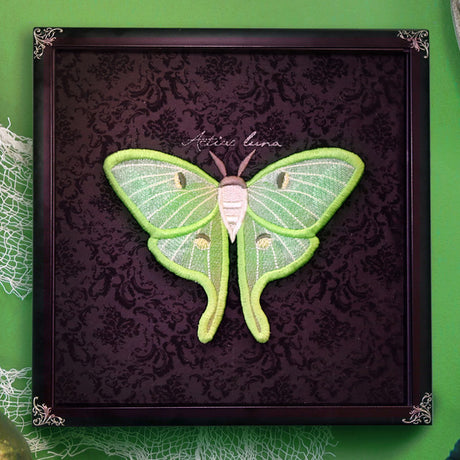 Winged Curiosities - Luna Moth (3D Applique)