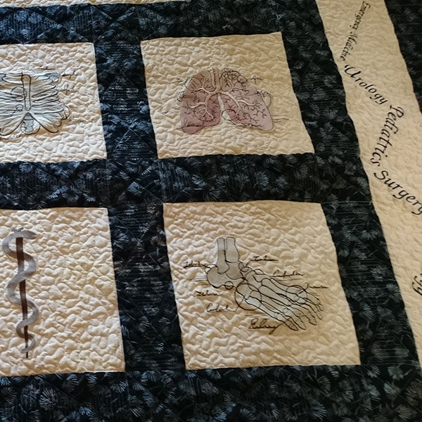 Anatomy (Design Pack)