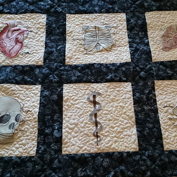 Anatomy (Design Pack)