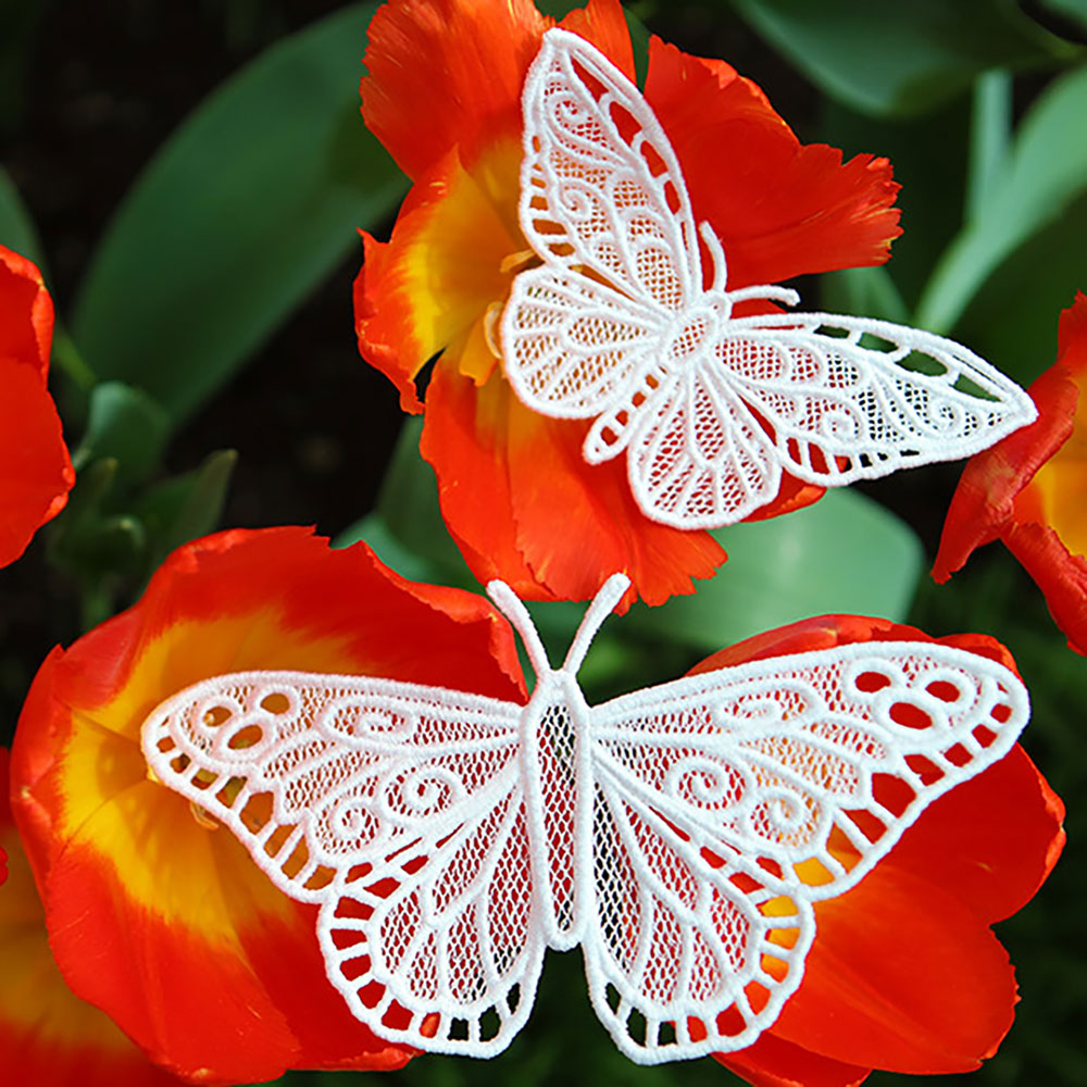 Chrysalis (Lace) (Design Pack)