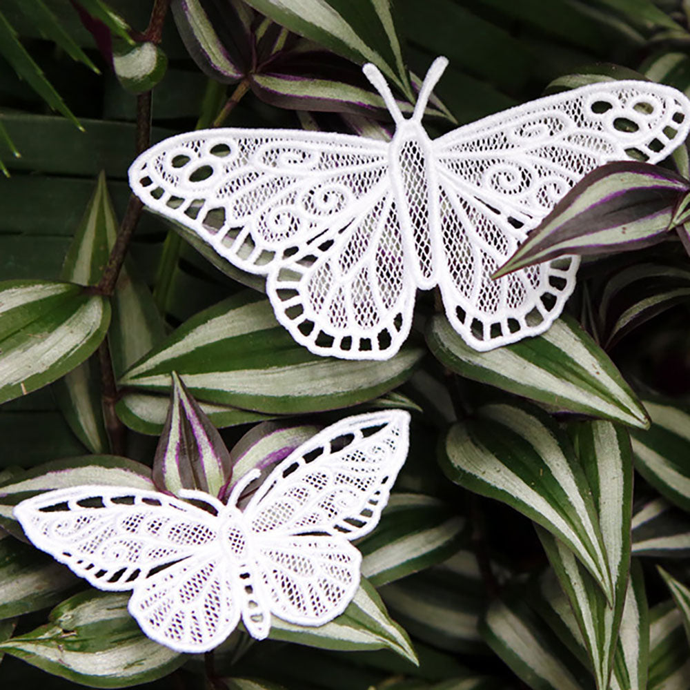 Chrysalis (Lace) (Design Pack)