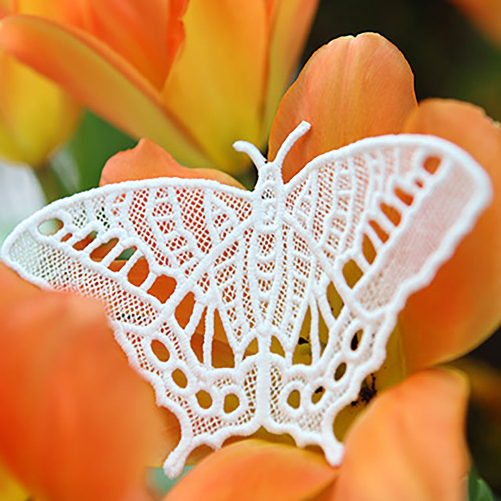 Chrysalis (Lace) (Design Pack)