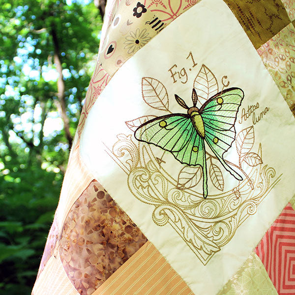 Nature's Curiosities Quilt Design Pack