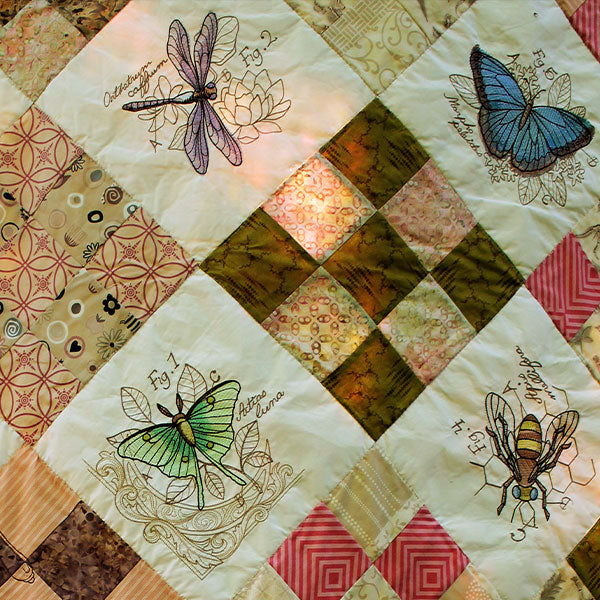 Nature's Curiosities Quilt Design Pack