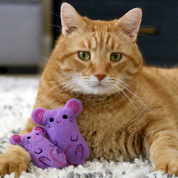 Meowy Mouse Cat Toy (In-the-Hoop)