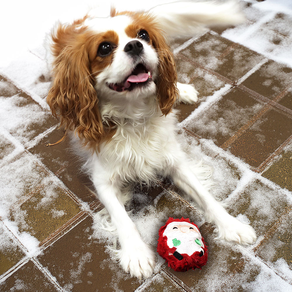 Santa Stuffie (In-the-Hoop)