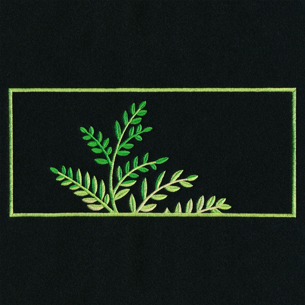 Botanical Fern Triptych Set