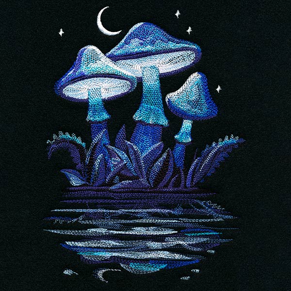 Midnight Mushroom Reflections