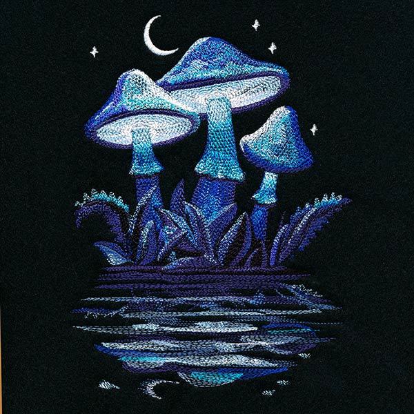 Midnight Mushroom Reflections