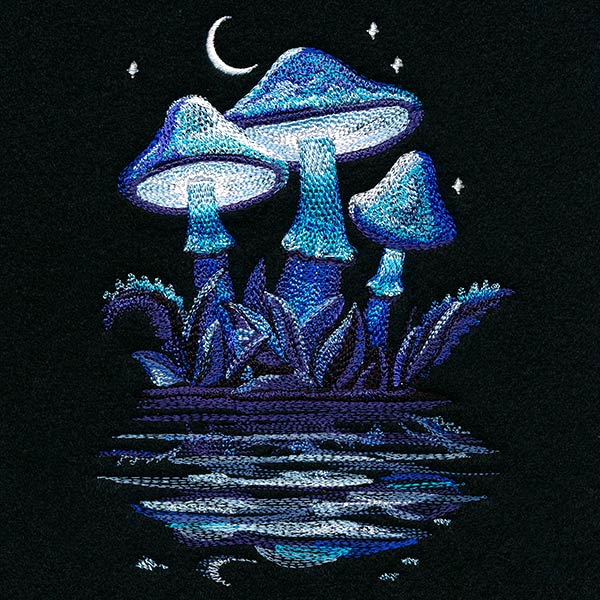 Midnight Mushroom Reflections