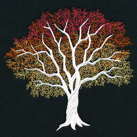 Signs of Autumn Tree