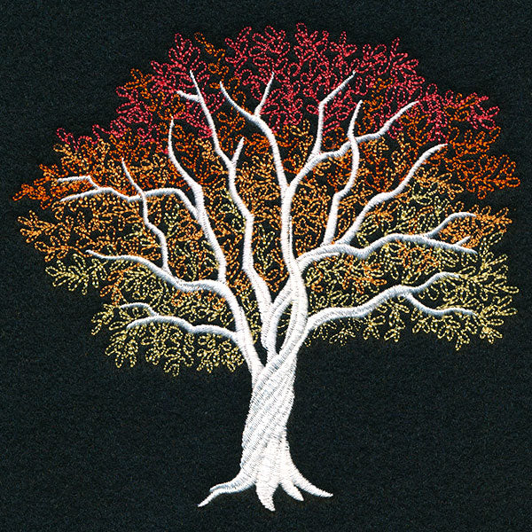 Signs of Autumn Tree