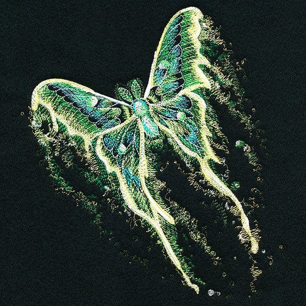 Midnight Dreams Moth