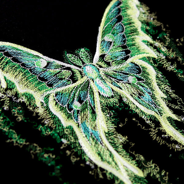 Midnight Dreams Moth