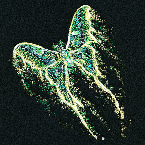 Midnight Dreams Moth