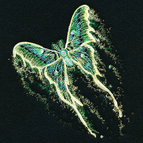 Midnight Dreams Moth