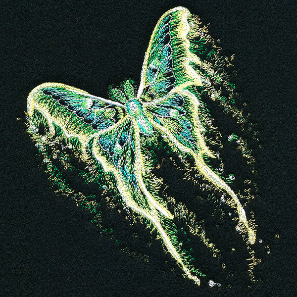 Midnight Dreams Moth