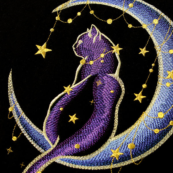 Under the Stars Kitty