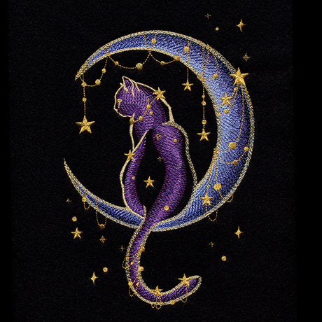 Under the Stars Kitty