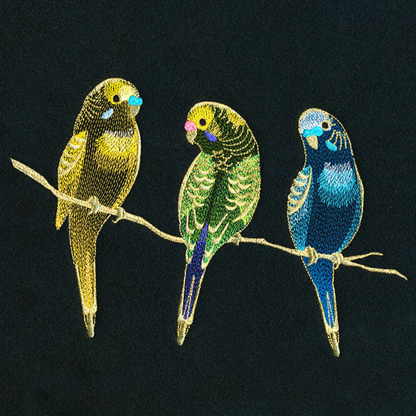 Three Tweet Parakeets