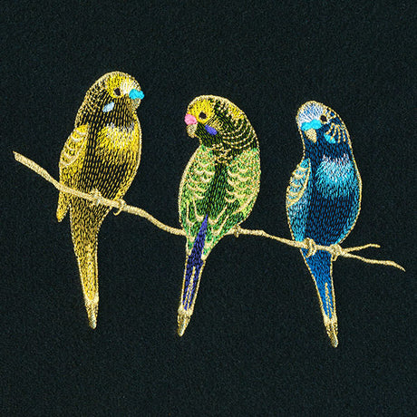 Three Tweet Parakeets