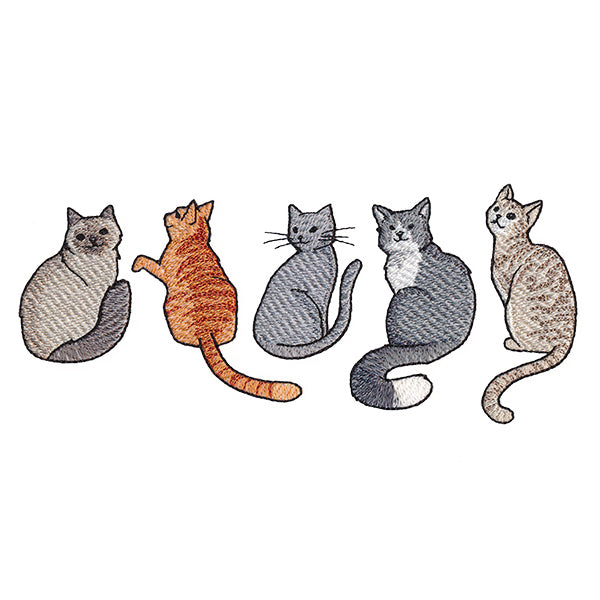 Hey Meow Cat Border