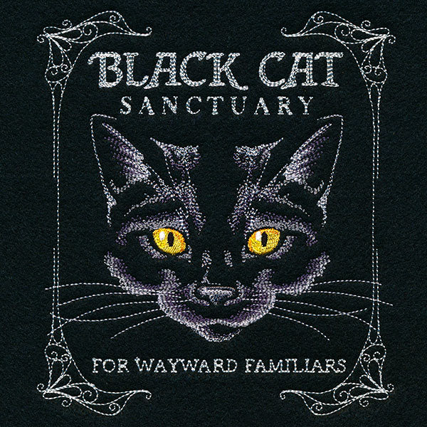 Black Cat Sanctuary