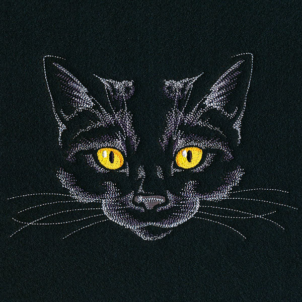 Creature of the Night Kitty