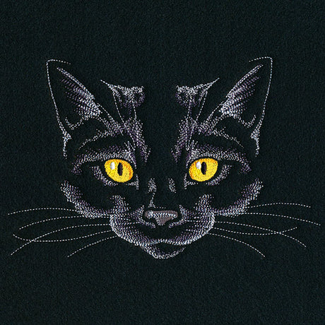 Creature of the Night Kitty