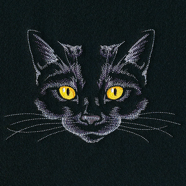 Creature of the Night Kitty