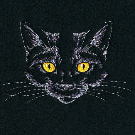 Creature of the Night Kitty