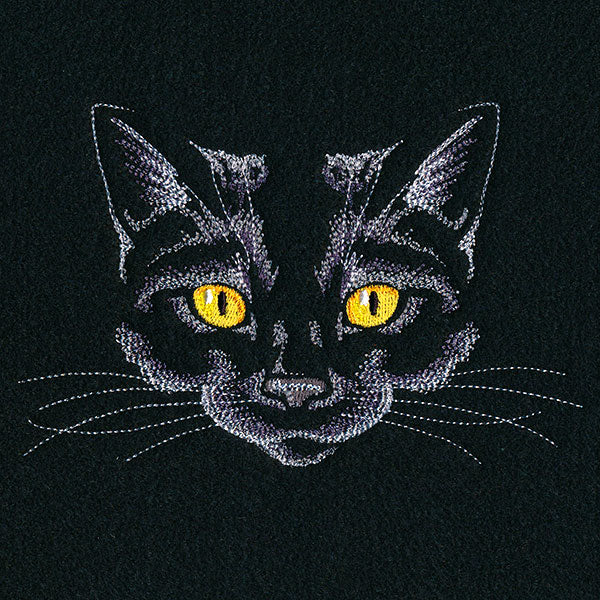 Creature of the Night Kitty