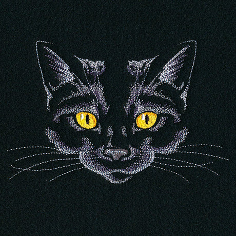 Creature of the Night Kitty