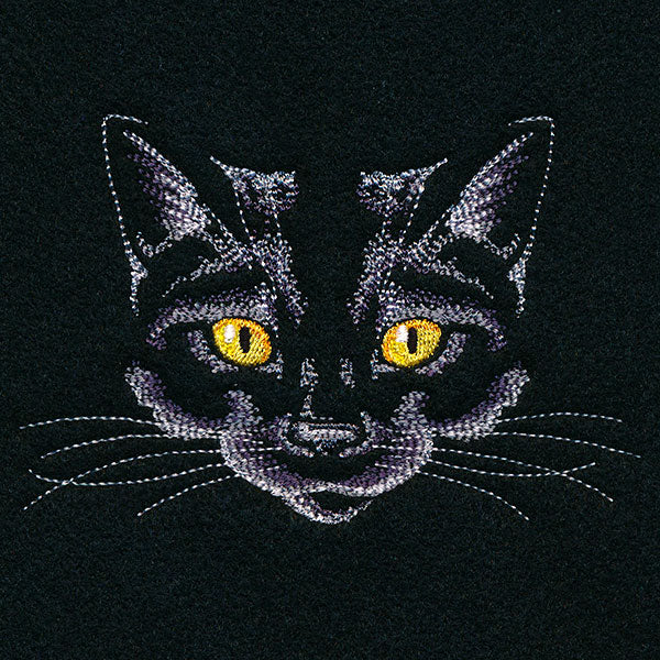 Creature of the Night Kitty