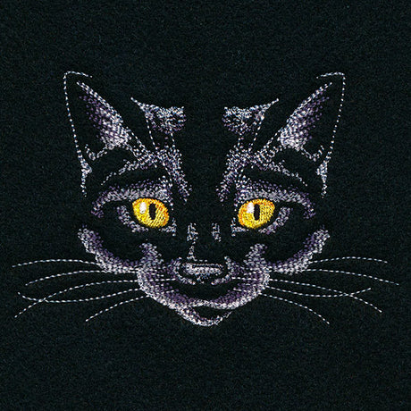 Creature of the Night Kitty