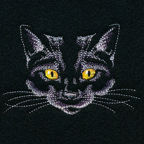 Creature of the Night Kitty