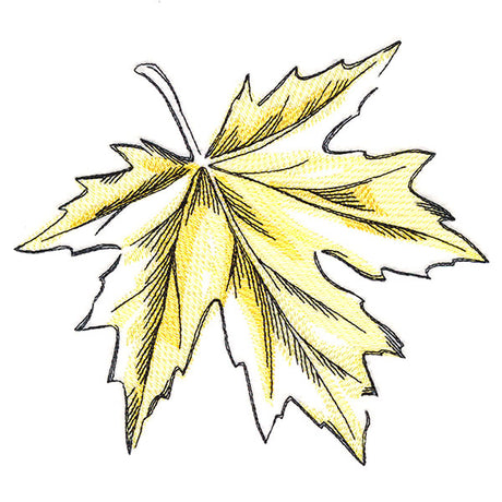 Golden Maple Leaf