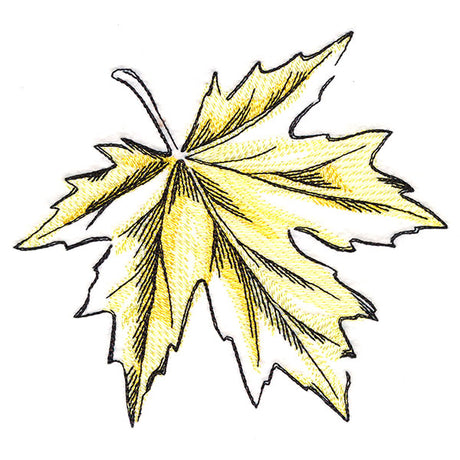 Golden Maple Leaf