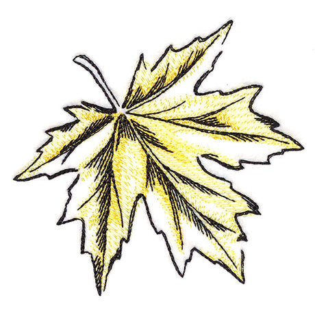 Golden Maple Leaf