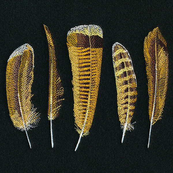 Light as a Feather Border