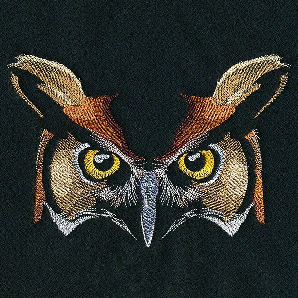 Enchanted Owl Face