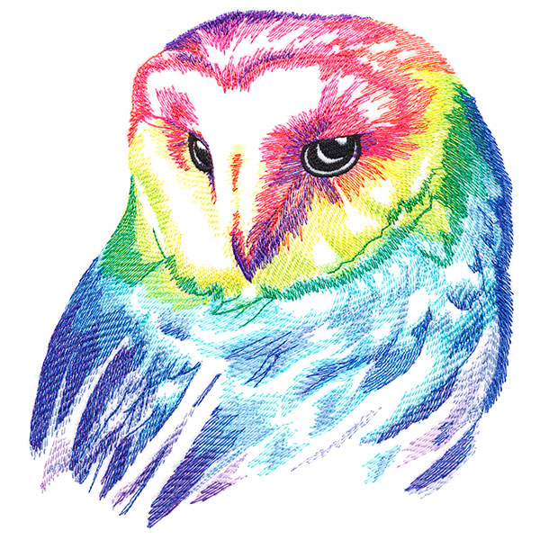 Wild Rainbow Owl