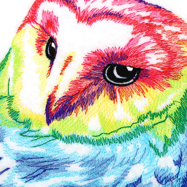 Wild Rainbow Owl