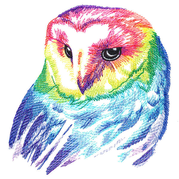 Wild Rainbow Owl