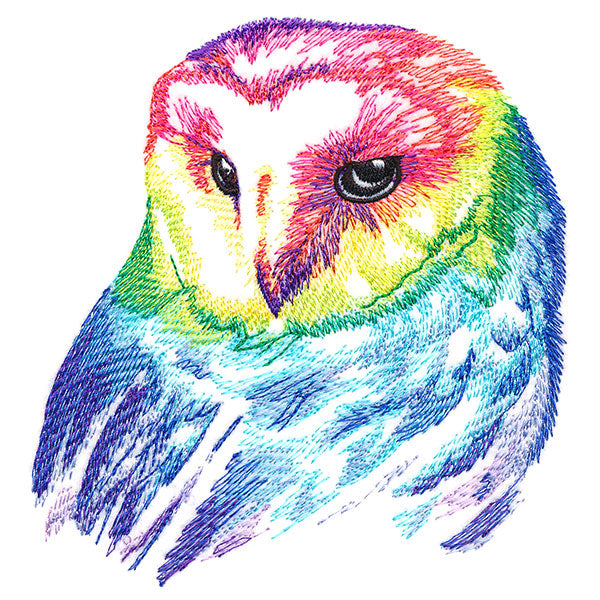 Wild Rainbow Owl